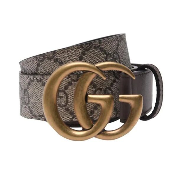 0C4771E3-52F6-44F2-B2B3-E7FF9D70C67E.jpg BELT