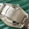 RLX Oyster Perpetual —