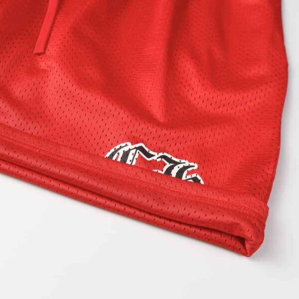 CHRM HRTS Shorts Matty Boy Team Warm Up Jersey