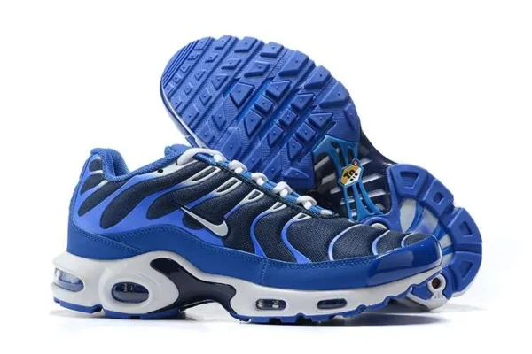 AIR MAX PLUS TN ‘ARTIC CHILL’