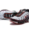 AIR MAX PLUS TN ‘BORDEAUX EMBER’