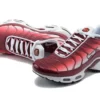 AIR MAX PLUS TN ‘DARK BEETROOT’