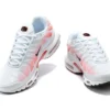AIR MAX PLUS TN ‘FADE RED WHITE’