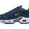 AIR MAX PLUS TN ‘FRENCH FOOTBALL FEDERATION’