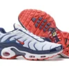 AIR MAX PLUS TN ‘USA’